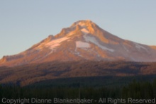 06 Mt Hood tight after sunset