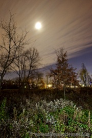 The moon on a windy night as clouds moved in; off-camera flash used to light the foreground plants