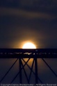 Moon rising above the truss of the Walnut Street Bridge